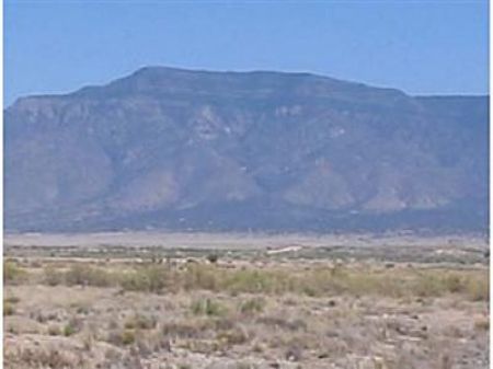 1/4 Acre Rio Del Oro Unit 63 : Rio Del Oro : Valencia County : New Mexico