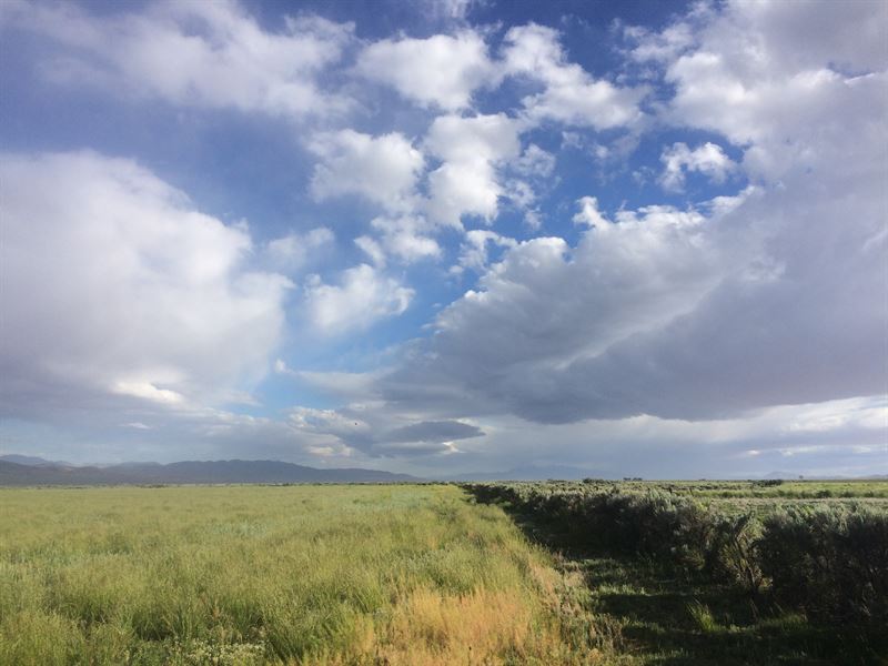Santa Rosa Meadows Ranch : Paradise Valley : Humboldt County : Nevada