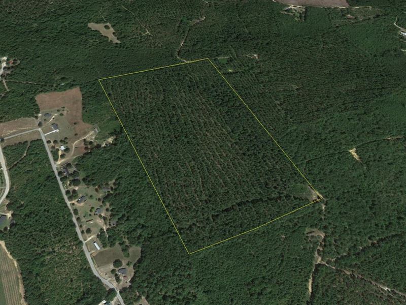 Rembert Tract Mc8983, Land for Sale in South Carolina, 304171 LANDFLIP