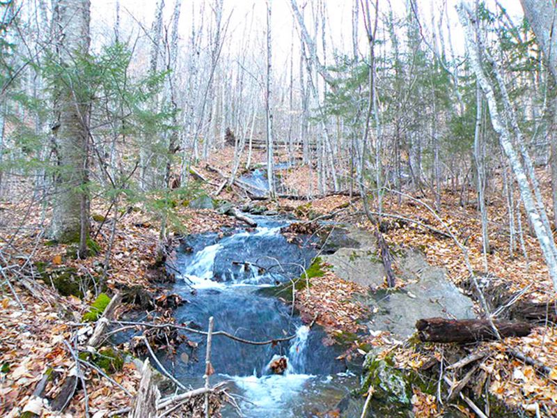 Sentinel Mountain Headwaters : Warren : Grafton County : New Hampshire