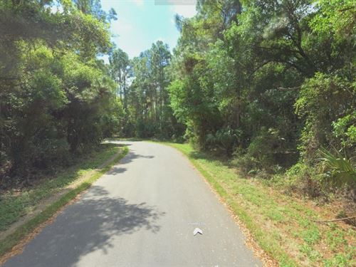 Quiet, Serene, Shaded, North Port : North Port : Sarasota County : Florida