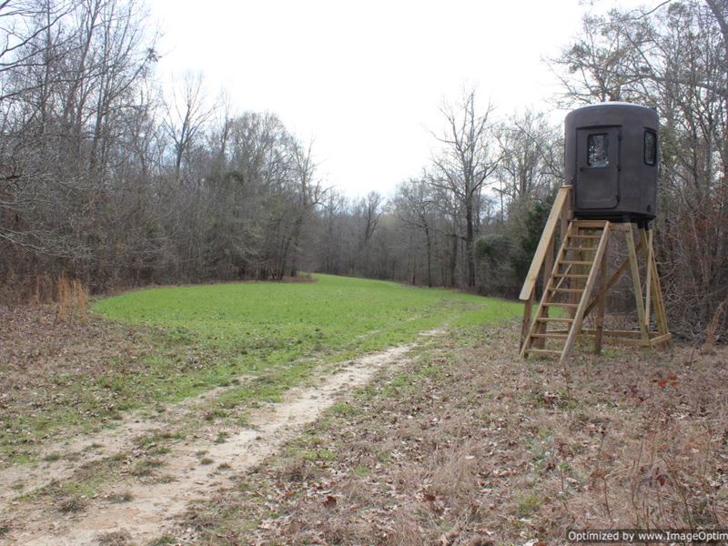 166 AC in Warren County, MS : Vicksburg : Warren County : Mississippi