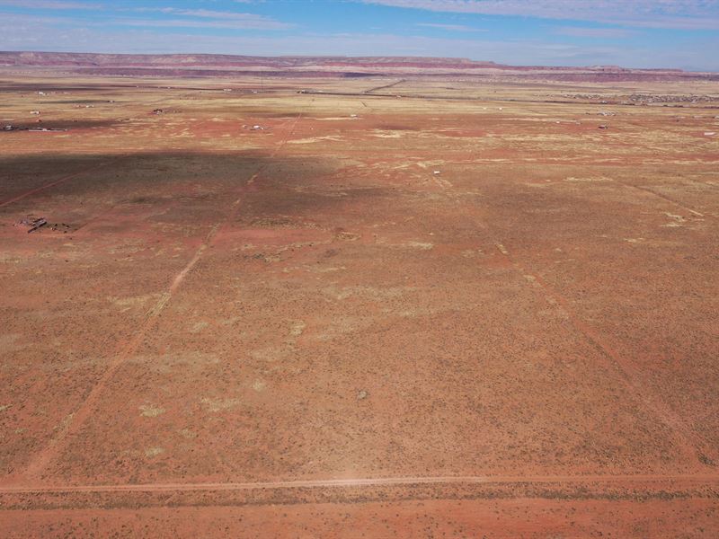 5 Ac of NM Land, $399 Down : Highland Meadows : Valencia County : New Mexico