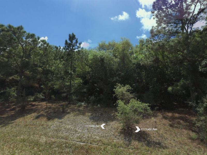 Wooded Lot on Quiet Street : North Port : Sarasota County : Florida