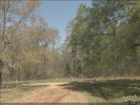 1/2 Mile From Lake : Livingston : Polk County : Texas