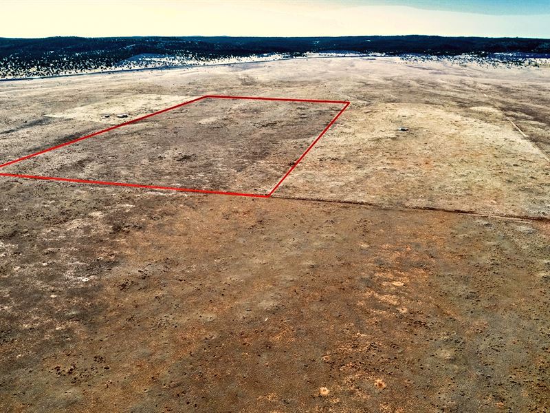 37.19 Ac Yavapai County, $9500 Down : Seligman : Yavapai County : Arizona