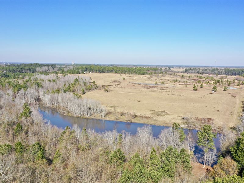 Middle Georgia Pasture & Homesite : Cordele : Crisp County : Georgia