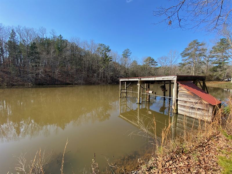 Fishing Pond and 11 Acres : Pell City : Saint Clair County : Alabama
