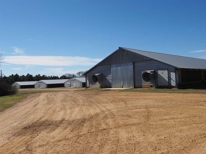 12 Broiler Poultry Farm for Sale, 3 : McComb : Pike County : Mississippi