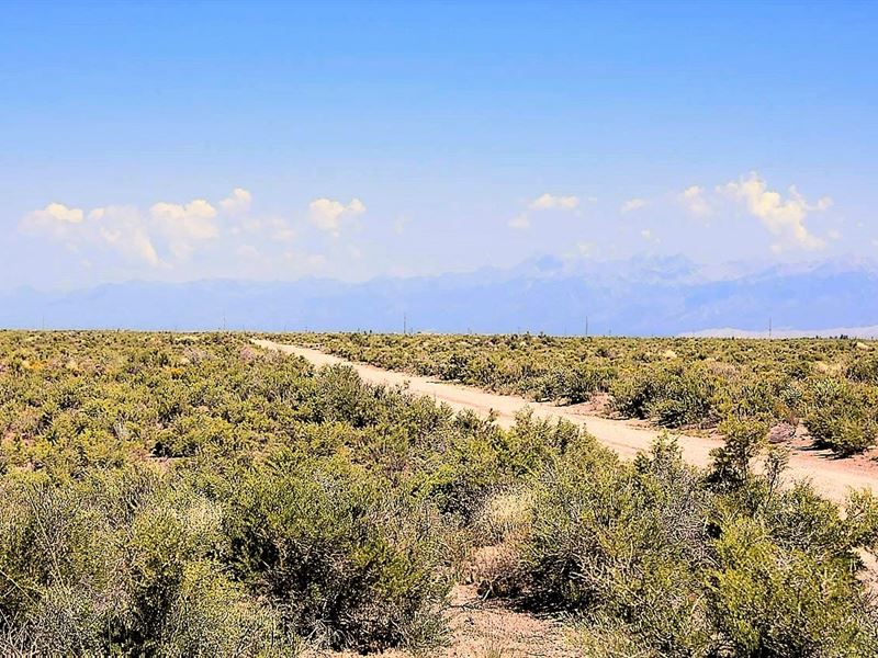 Beautiful Mountain View, 35 Acres : Alamosa : Alamosa County : Colorado
