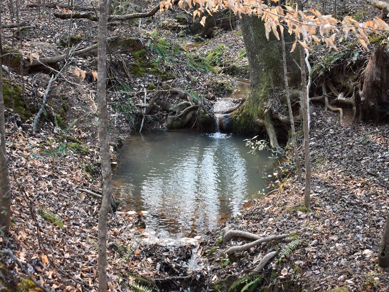 Hunters Dream Property : Shady Dale : Jasper County : Georgia
