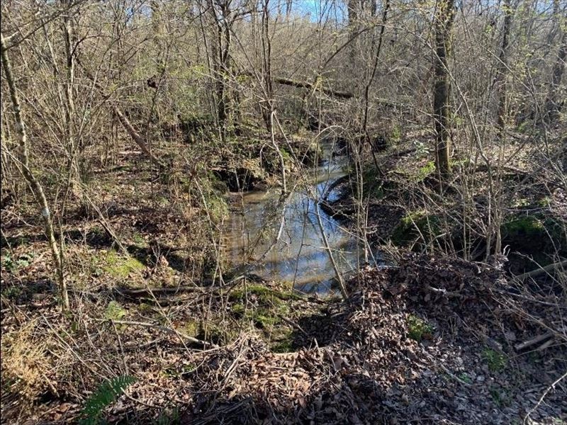 32 Acres in Lincoln County in Wesso : Wesson : Lincoln County : Mississippi