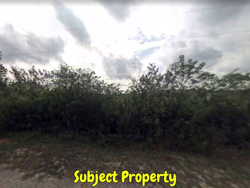 Agricultural Lot Selling Below MV : Punta Gorda : Lee County : Florida