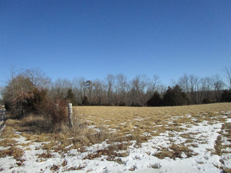 Surveyed Wooded Land in Missouri : Summersville : Texas County : Missouri