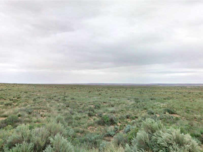 Perfect 5 Acre Land : Show Low : Apache County : Arizona
