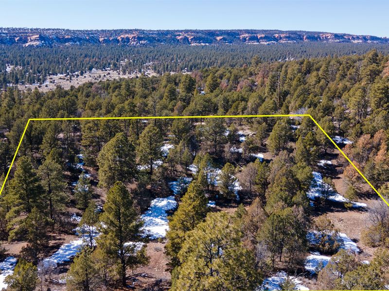 Peaceful Living Among The NM Pines Land for Sale by Owner in Ramah