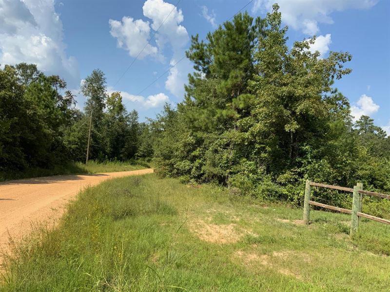 Avant Road 3.9 Tract of Grant Paris Land for Sale in Verda, Grant