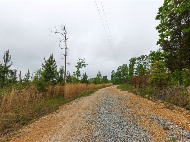 5.81 Acre in Benton County, TN : Holladay : Benton County : Tennessee