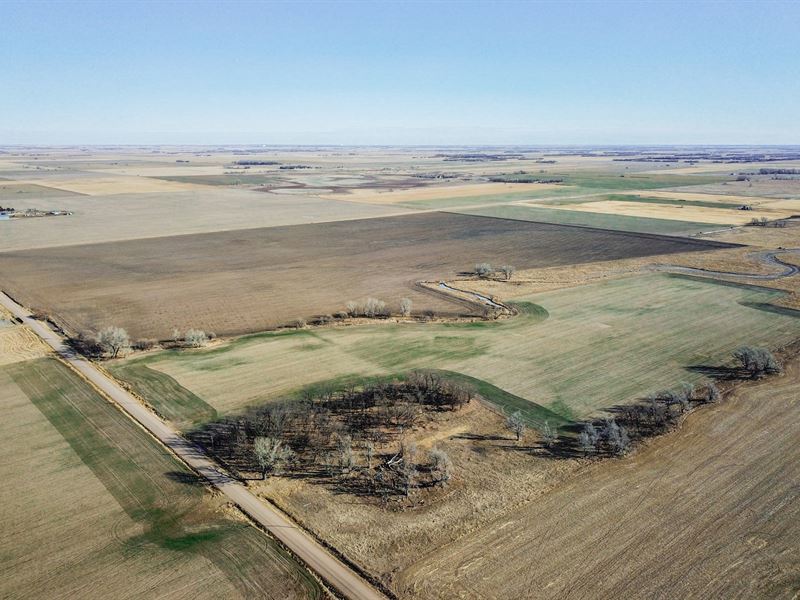 East Barton County Cropland Pasture : Ellinwood : Barton County : Kansas