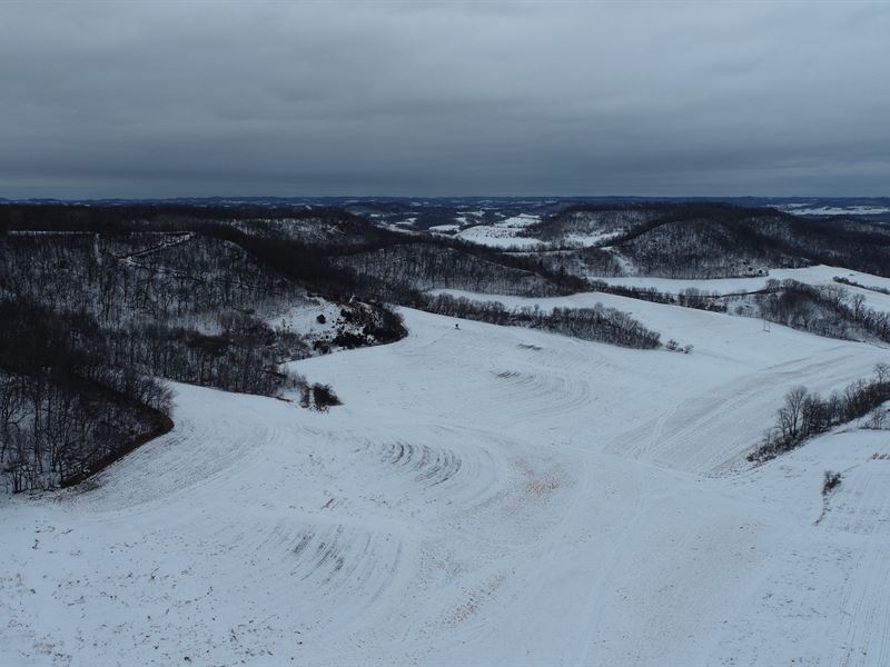 230.8 Acres in Buffalo County : Arcadia : Buffalo County : Wisconsin