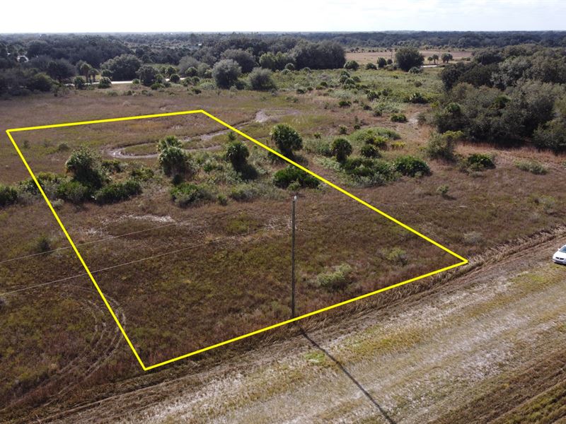 Mostly Clear 1.25 Acre Lot, Power : Okeechobee : Okeechobee County : Florida