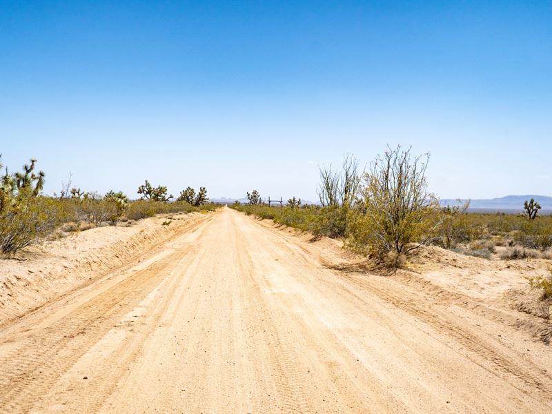 $7,900 Down, Cabin and Storage Shed : Yucca : Mohave County : Arizona