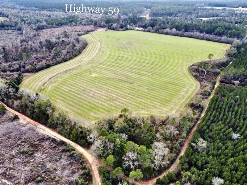 The Stapleton Loxley Development : Loxley : Baldwin County : Alabama