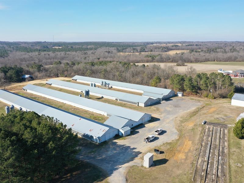 Bell Poultry Farm : Fyffe : Dekalb County : Alabama