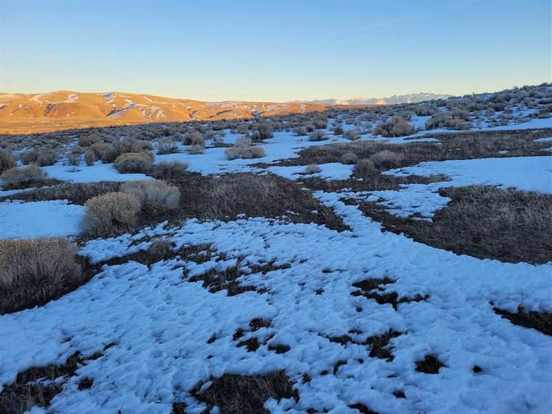 Homesite Just 10 Minutes From Elko : Elko : Elko County : Nevada