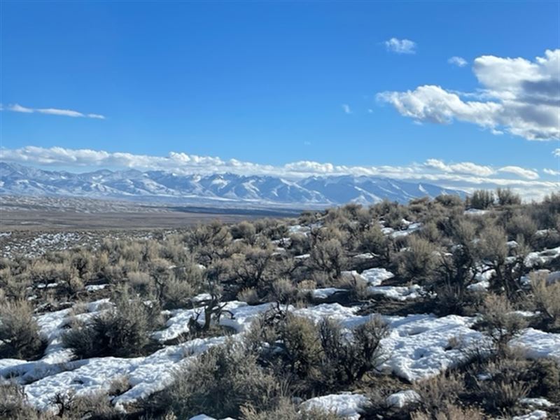 Ruby Mountain Ranchland : Elko : Elko County : Nevada