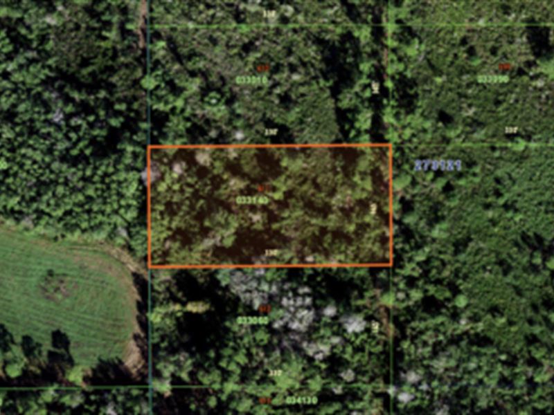 1.25 Ac Vacant Recreation Lot : Frostproof : Polk County : Florida