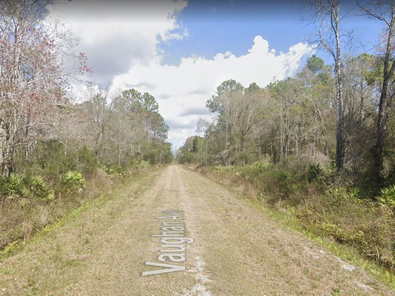 1.14 Acre Lot for Sale in Florida : Hastings : Saint Johns County : Florida
