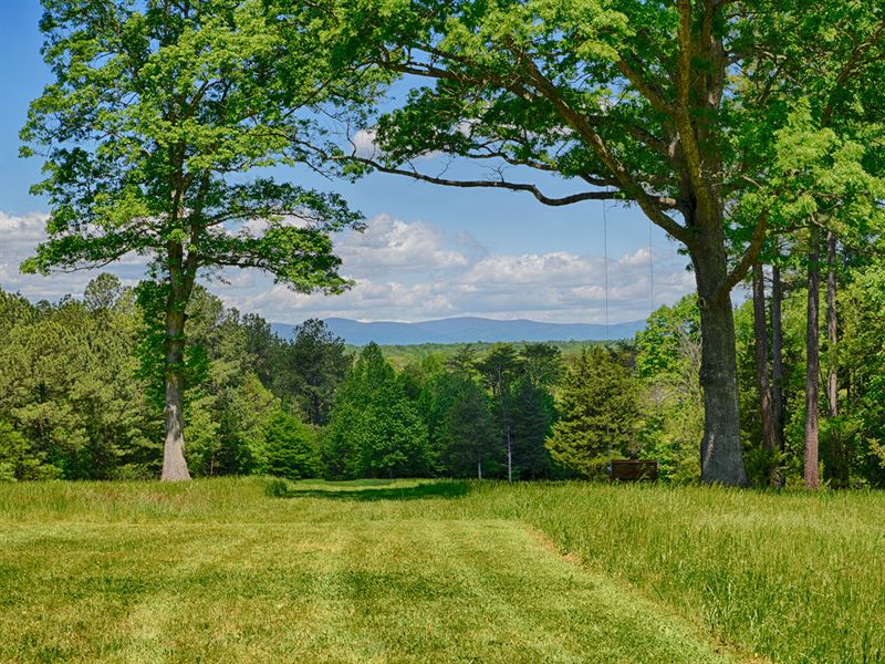Burnley Meadows : Barboursville : Albemarle County : Virginia