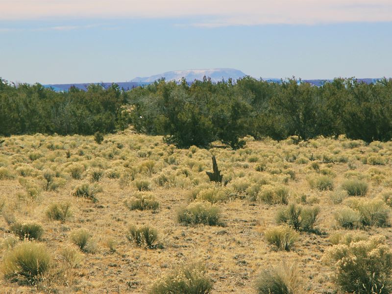 Scenic Northern Arizona Retreat : Saint Johns : Apache County : Arizona