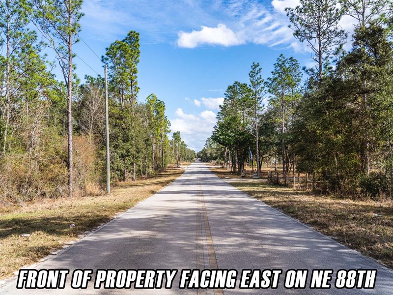 $7900 Down, Finance, Paved Quiet Rd : Bronson : Levy County : Florida