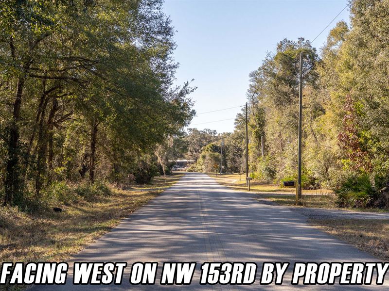 Corner Property, Quiet Paved Rd : Chiefland : Levy County : Florida
