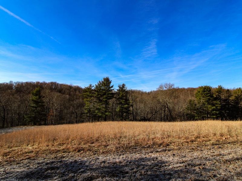 Sugar Grove Rd, 10 Acres, Guernse : Cambridge : Guernsey County : Ohio