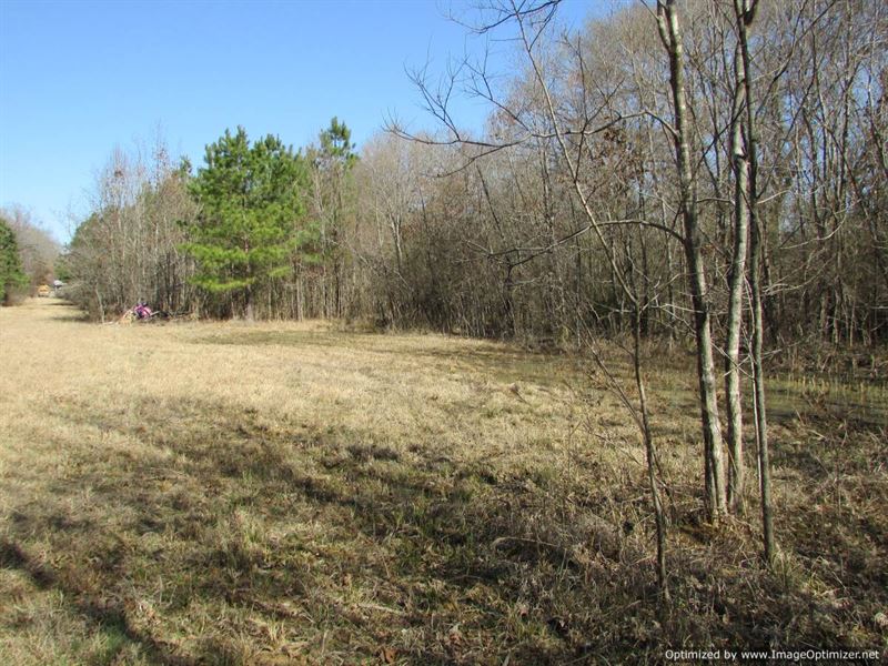 40.38 AC in Madison County, MS : Canton : Madison County : Mississippi