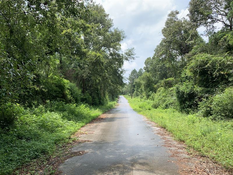 Wooded RV / Mobile Land, Utilities : Newton : Newton County : Texas
