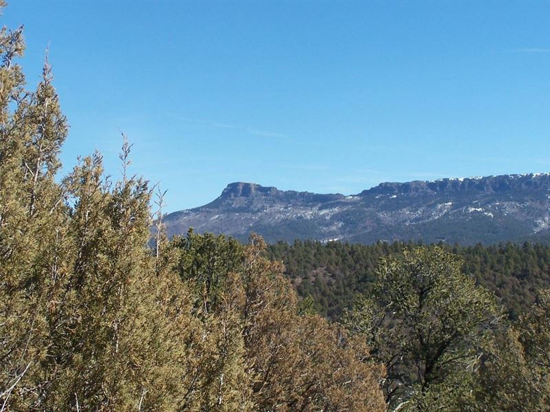 D90 Santa Fe Trail Ranch : Trinidad : Las Animas County : Colorado
