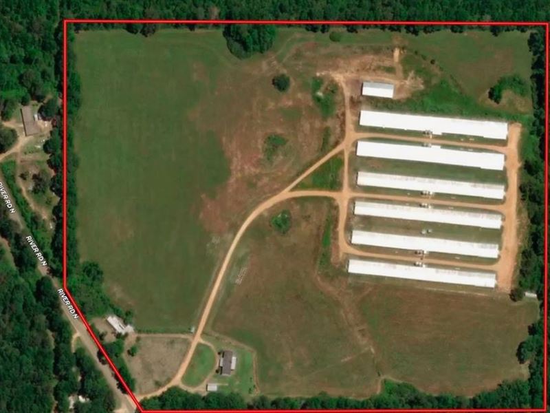 6 House Broiler Poultry Farm for Sa : Summit : Pike County : Mississippi