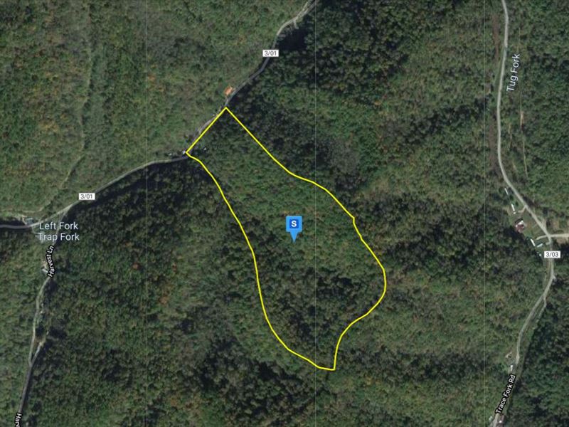 37.6 Ac in McDowell County, WV : Panther : McDowell County : West Virginia