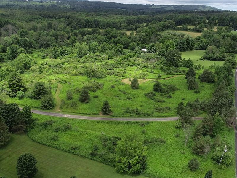 Rural Building Lot with Options : Fabius : Onondaga County : New York
