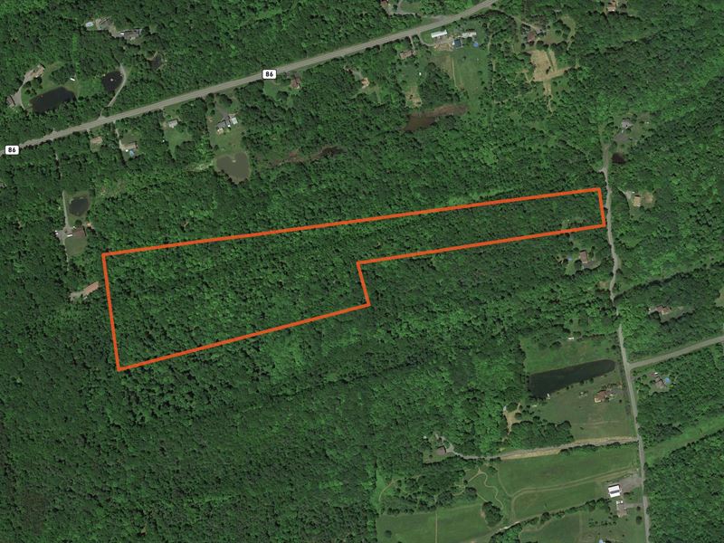 Seasonal Stream and Hardwoods : Duanesburg : Schenectady County : New York