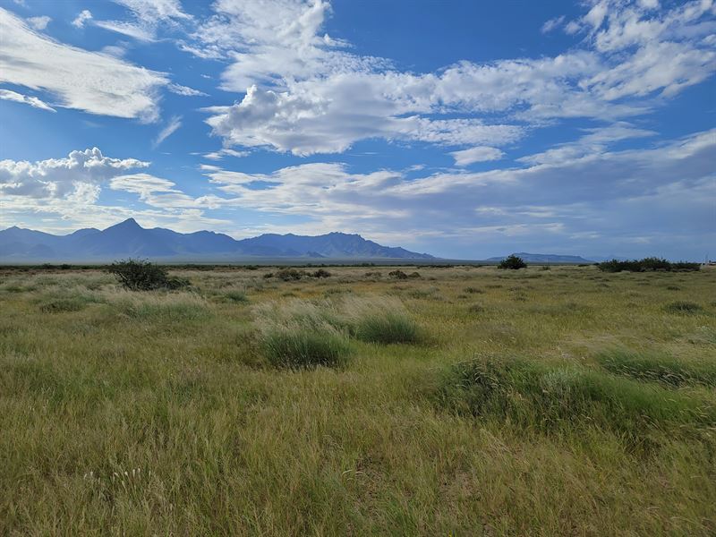 Secure An Acre of Silence Only $99 : Deming : Luna County : New Mexico