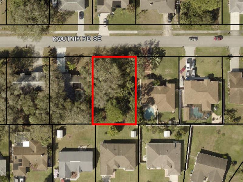 Beautiful Palm Bay Lot : Palm Bay : Brevard County : Florida