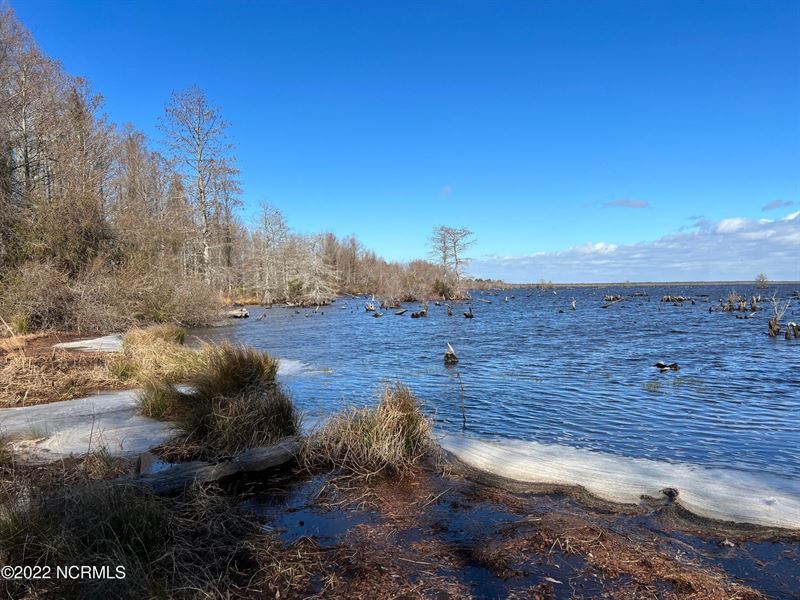 Hunting Tract in Hyde County, NC : Belhaven : Hyde County : North Carolina