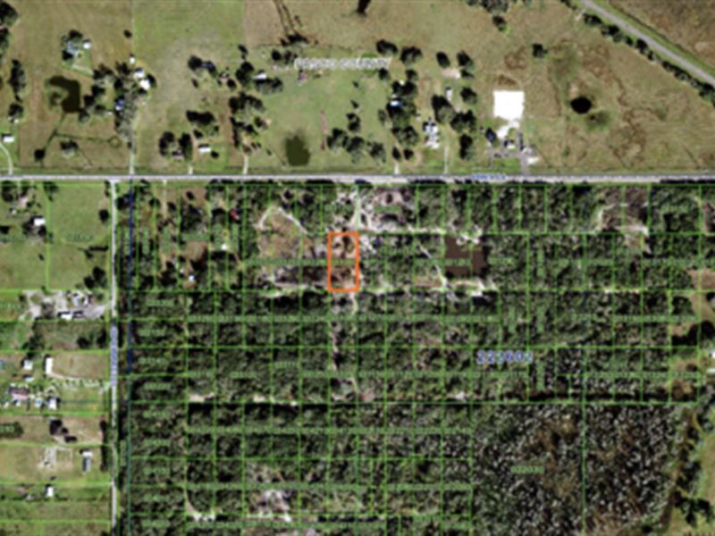 Rancho Bonito : Kathleen : Polk County : Florida