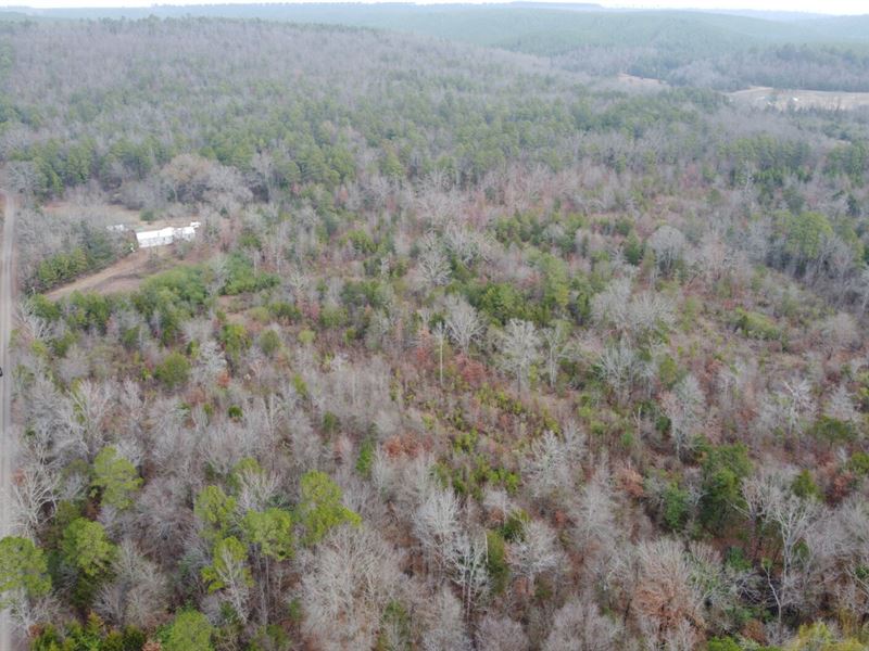 10 Acres M/L Perry County, AR : Houston : Perry County : Arkansas