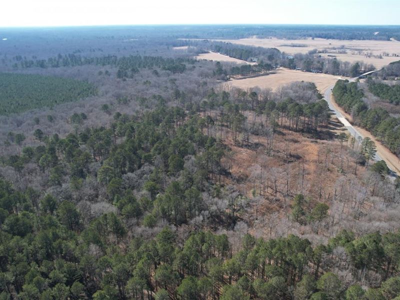 Hwy 8 Tract Near Saline River : Fountain Hill : Ashley County : Arkansas